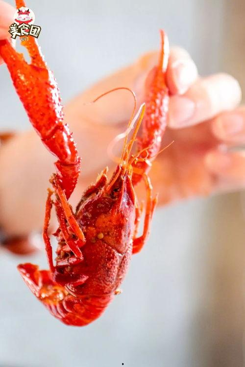 厦门龙虾爆料视频大全最新,最新爆料视频大盘点，美味瞬间尽收眼底  第2张